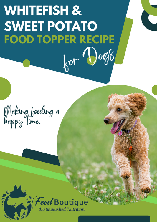 Whitefish and Sweet Potato Complementary Food Topper Recipe for Dogs