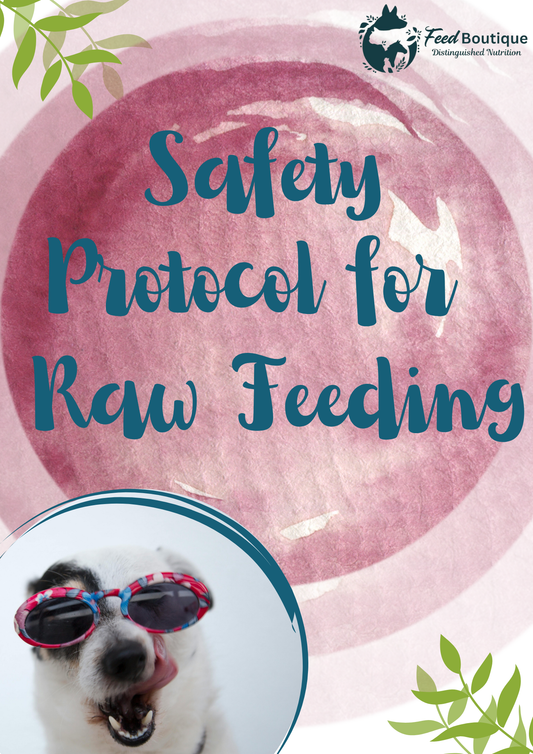 Safety Protocol for Raw Feeding