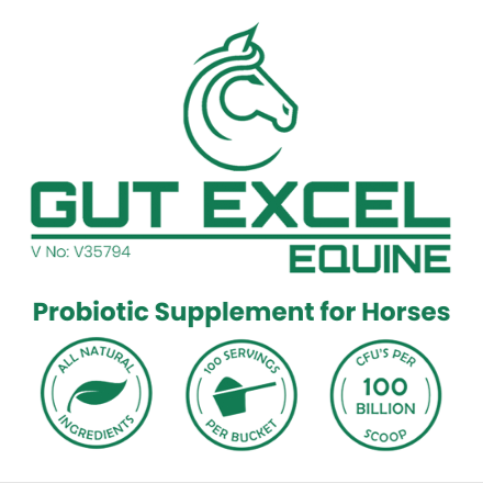 Gut Excel_Equine