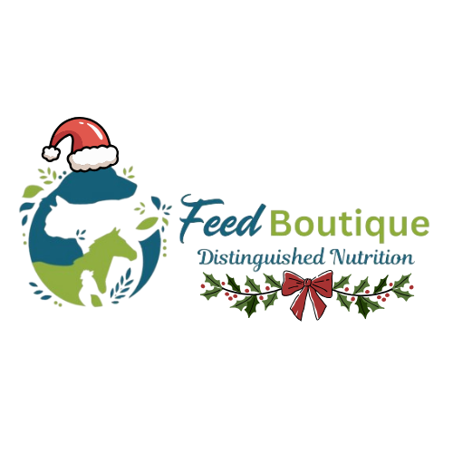 Feed Boutique